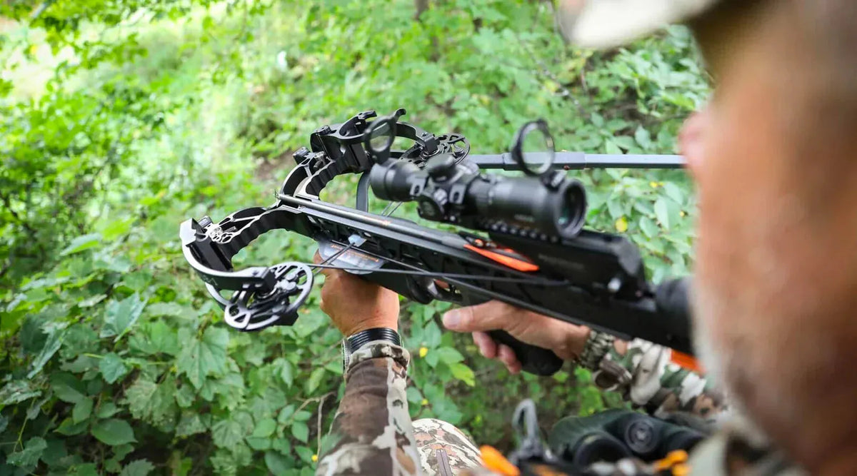 Crossbows - NeonSales {{ shop.shopifyCountryName }}