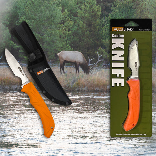ACCUSHARP CAPING KNIFE - WITH SHEATH - NeonSales {{ shop.shopifyCountryName }}