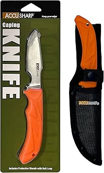 ACCUSHARP GUT HOOK KNIFE  WITH SHEATH - NeonSales {{ shop.shopifyCountryName }}