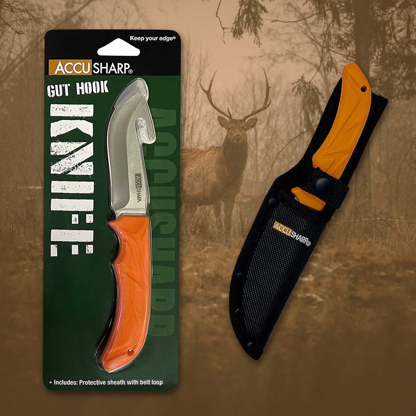 ACCUSHARP GUT HOOK KNIFE  WITH SHEATH - NeonSales {{ shop.shopifyCountryName }}