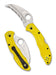 Spyderco Tasman Salt 2 Hawkbill SpyderEdge, Yellow