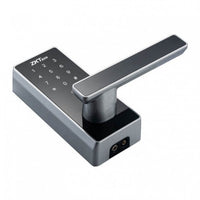 ZKTeco NG-DL30Z Zigbee smart door lock