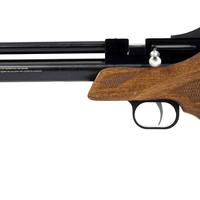 ARTEMIS CP1-M PELLET PISTOL, .22 CAL - NeonSales {{ shop.shopifyCountryName }}