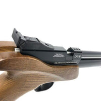 ARTEMIS CP1-M PELLET PISTOL, .22 CAL - NeonSales {{ shop.shopifyCountryName }}