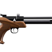 ARTEMIS CP1-M PELLET PISTOL, .22 CAL - NeonSales {{ shop.shopifyCountryName }}