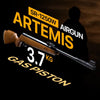 ARTEMIS GR1250W + RIFLE BAG + 21GR PELLETS - NeonSales South Africa