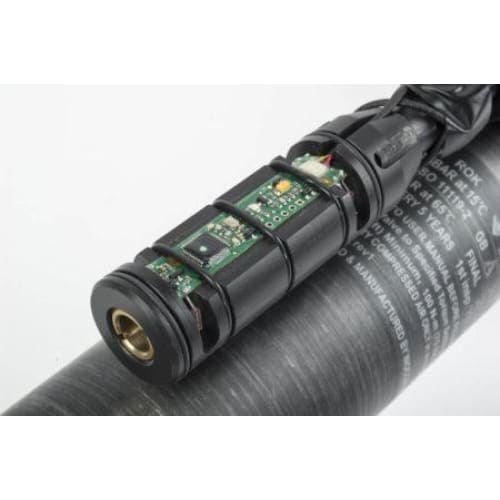 DAYSTATE DELTA WOLF HIGH POWER 5.5MM TAC - NeonSales {{ shop.shopifyCountryName }}
