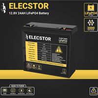 ELECSTOR 12.8V 24AH LIFEPO4 BATTERY - NeonSales {{ shop.shopifyCountryName }}