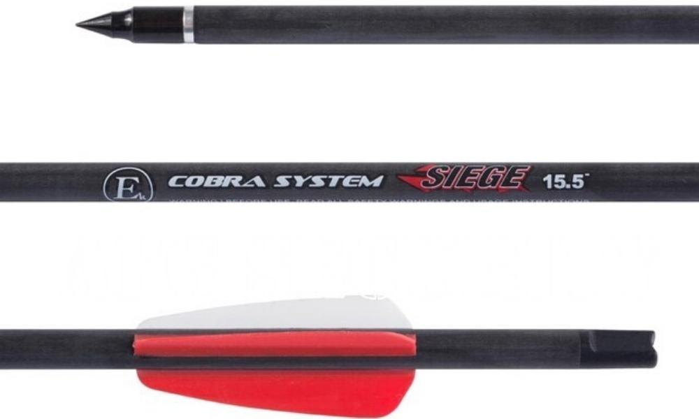 EK ARCHERY SEIGE 300 150LB XBOW - BLACK - NeonSales {{ shop.shopifyCountryName }}