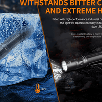 FENIX PD36 TAC LED FLASHLIGHT - NeonSales {{ shop.shopifyCountryName }}