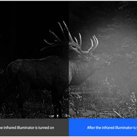 FIRE WOLF 4.3" NV RIFLESCOPE WITH CAMERA & IR - NeonSales {{ shop.shopifyCountryName }}