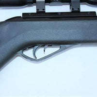 GAMO SWARM FOX .177 CAL W/ 4X30WR SCOPE - NeonSales {{ shop.shopifyCountryName }}