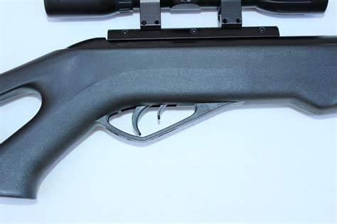 GAMO SWARM FOX .177 CAL W/ 4X30WR SCOPE - NeonSales {{ shop.shopifyCountryName }}