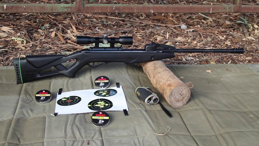 GAMO SWARM FOX .177 CAL W/ 4X30WR SCOPE - NeonSales {{ shop.shopifyCountryName }}