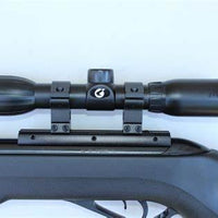 GAMO SWARM FOX .177 CAL W/ 4X30WR SCOPE - NeonSales {{ shop.shopifyCountryName }}