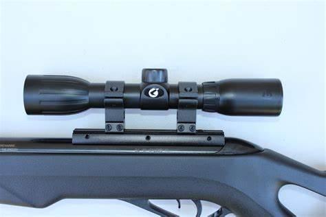 GAMO SWARM FOX .177 CAL W/ 4X30WR SCOPE - NeonSales {{ shop.shopifyCountryName }}