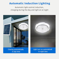 GDSUPER SOLAR CEILING LAMP W/ SOLAR LAMP, 40W - NeonSales {{ shop.shopifyCountryName }}