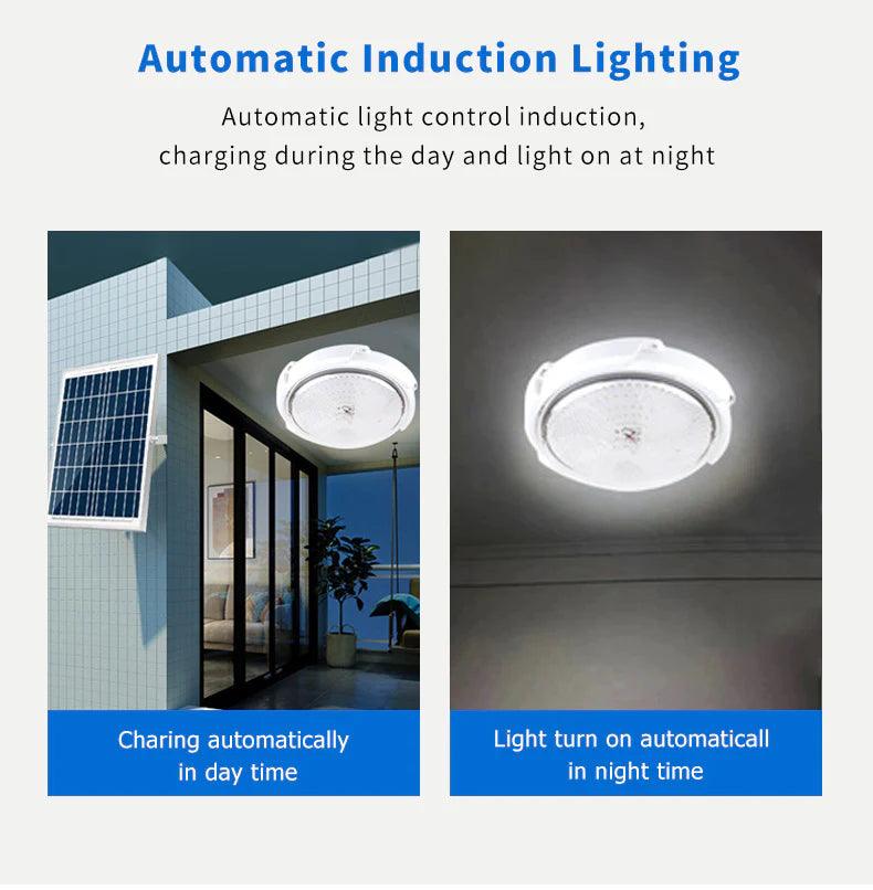 GDSUPER SOLAR CEILING LAMP W/ SOLAR LAMP, 40W - NeonSales {{ shop.shopifyCountryName }}