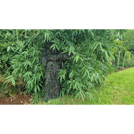 GHILLIE SUIT