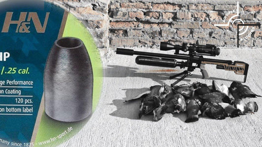 H&N SLUG HP .250 (28GR) - 120's - NeonSales {{ shop.shopifyCountryName }}