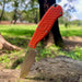 Honey Badger Outfitter fixed blade knife Orange
