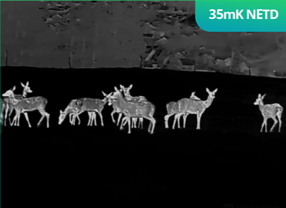 HIKMICRO THUNDER SCOPE TH35 THERMAL