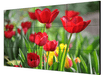 HIKVISION 55I NCH 3.5MM LCD DISPLAY UNIT - NeonSales {{ shop.shopifyCountryName }}