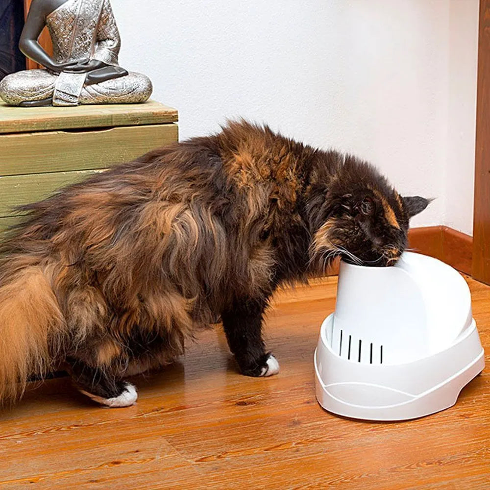 Long-haired cat drinking from modern white pet water fountain on wooden floor
