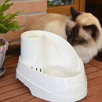 Cat next to white automatic pet water fountain on wooden table indoors