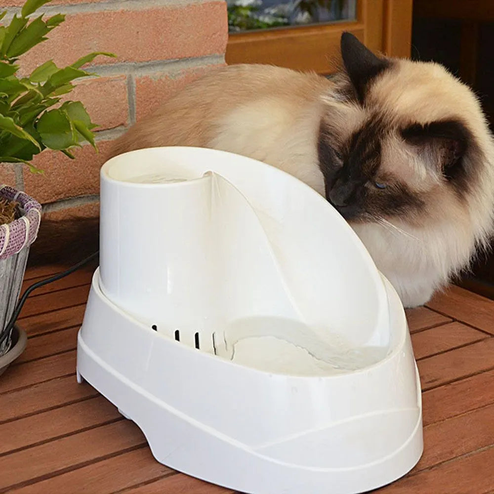 Cat next to white automatic pet water fountain on wooden table indoors