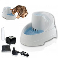 Automatic pet water fountain with filter, pump, and accessories, tabby cat drinking
