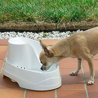 Small dog drinking from a white pet water fountain on outdoor patio tiles