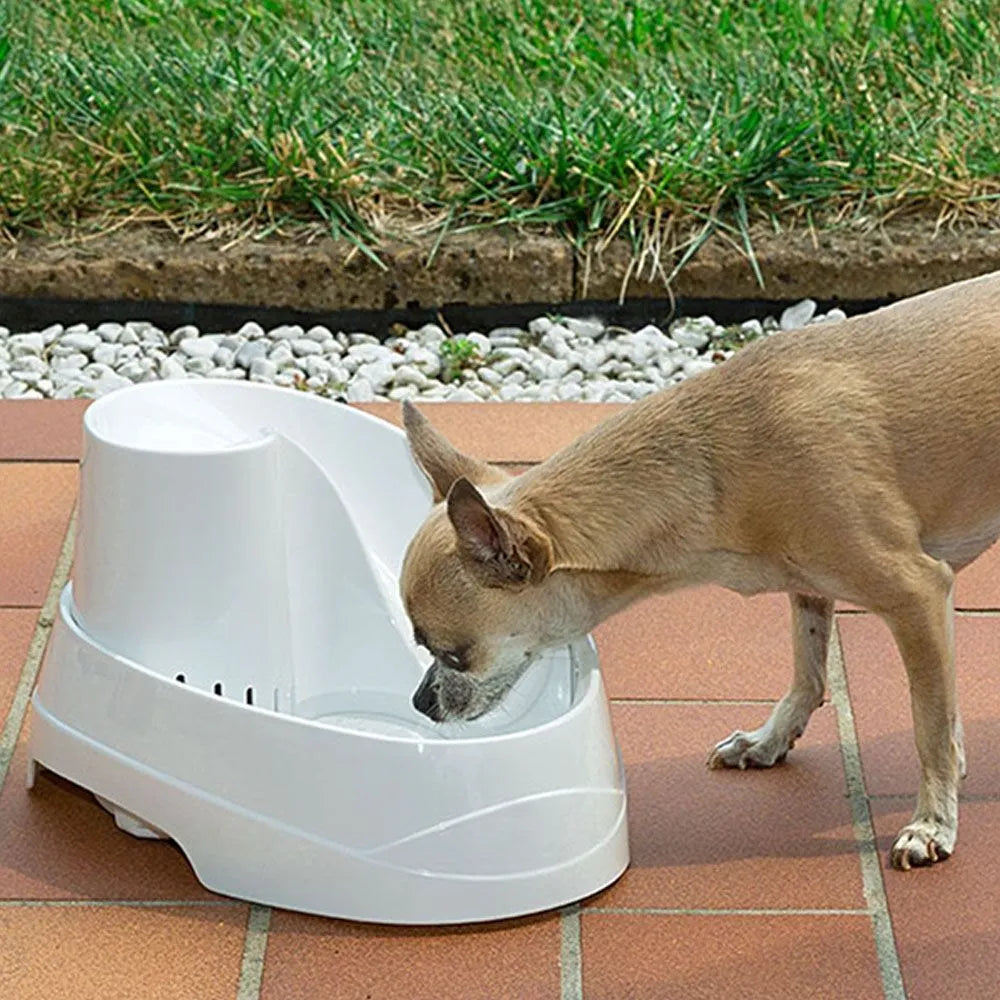 Small dog drinking from a white pet water fountain on outdoor patio tiles