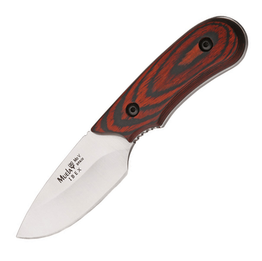 MUELA IBEX HUNTING KNIFE - 8R - NeonSales