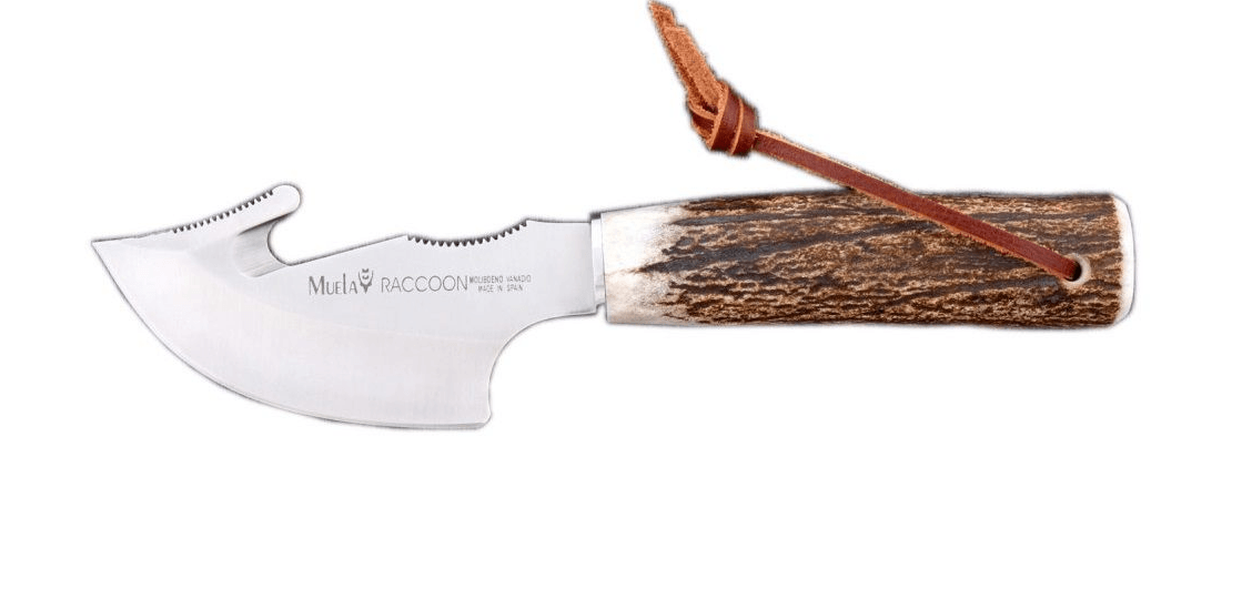 MUELA RACCOON SKINNER KNIFE - 8A - NeonSales {{ shop.shopifyCountryName }}