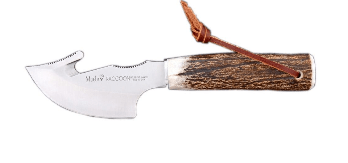 MUELA RACCOON SKINNER KNIFE - 8A - NeonSales