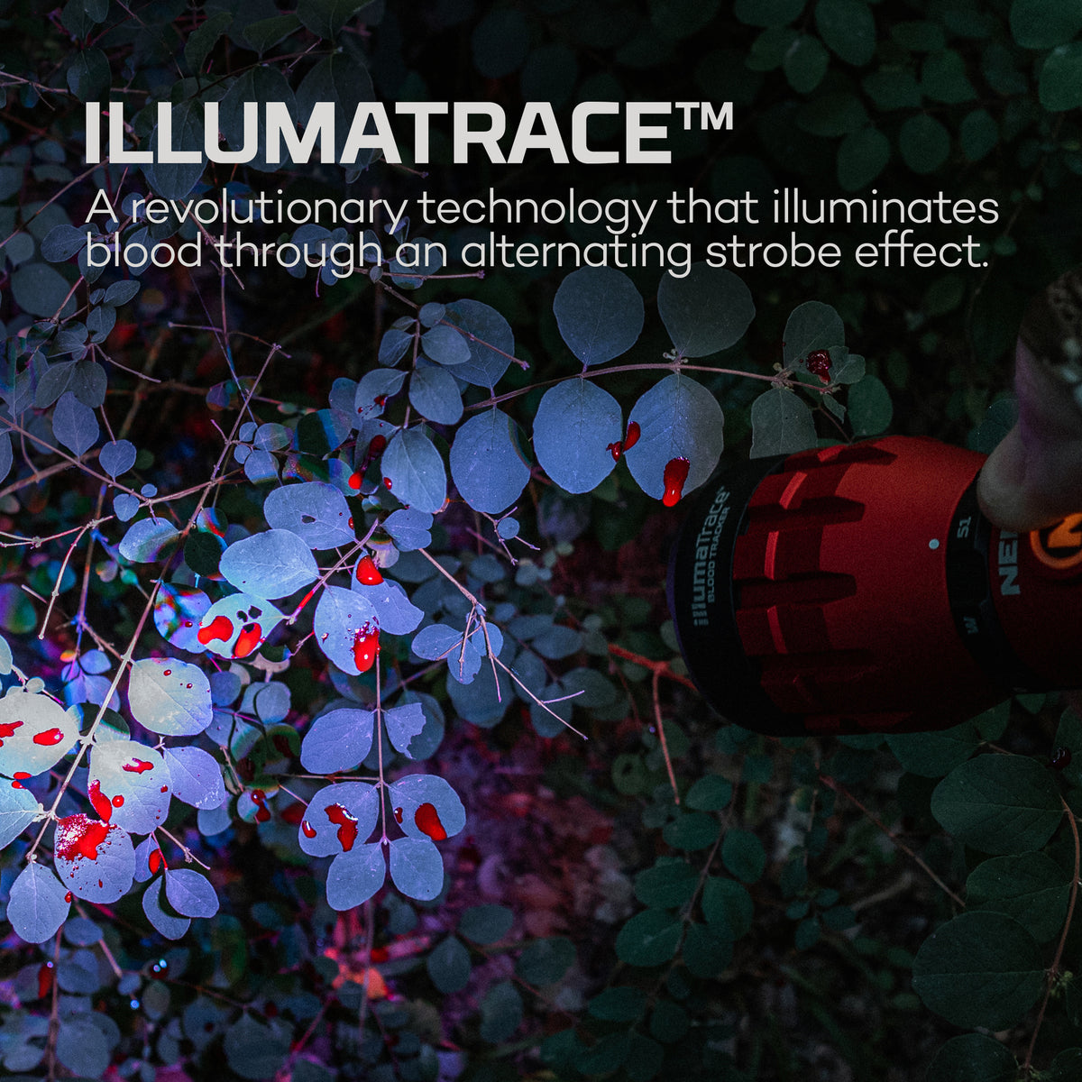 NEBO IllumaTrace Blood Tracker feature infographic