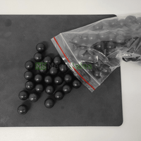 NYLON SOLID SHOT, .68 CAL (54GR) - 100's - NeonSales {{ shop.shopifyCountryName }}
