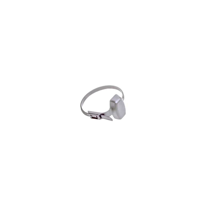 PAXTON NET2 WATCHPROX SILVER NET2 10 698-574SL-ZA - NeonSales {{ shop.shopifyCountryName }}