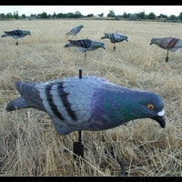PIGEON DECOY, FULL BODY SHAPE - 1's - NeonSales {{ shop.shopifyCountryName }}
