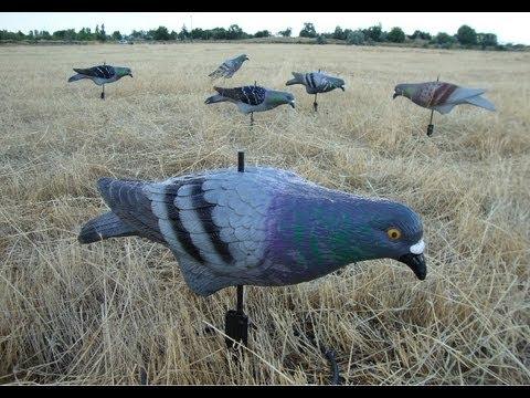 PIGEON DECOY, FULL BODY SHAPE - 1's - NeonSales {{ shop.shopifyCountryName }}