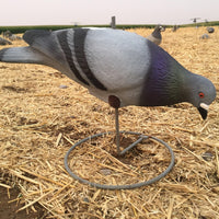 PIGEON DECOY, FULL BODY SHAPE - 1's - NeonSales {{ shop.shopifyCountryName }}