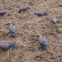 PIGEON DECOY, FULL BODY SHAPE - 1's - NeonSales {{ shop.shopifyCountryName }}
