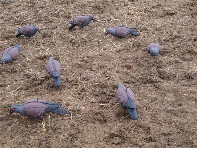PIGEON DECOY, FULL BODY SHAPE - 1's - NeonSales {{ shop.shopifyCountryName }}