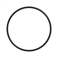 POLICE / KWC PT92 GBB 4.5MM VALVE SEAL - 1's - NeonSales {{ shop.shopifyCountryName }}