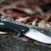 RUIKE KNIFE D198-PB - NeonSales {{ shop.shopifyCountryName }}