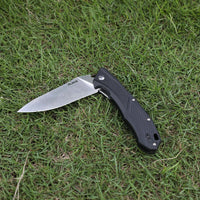 RUIKE KNIFE D198-PB - NeonSales {{ shop.shopifyCountryName }}