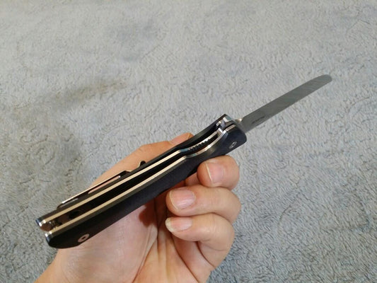 RUIKE P121-B HUSSAR - G10 SCALES - NeonSales {{ shop.shopifyCountryName }}
