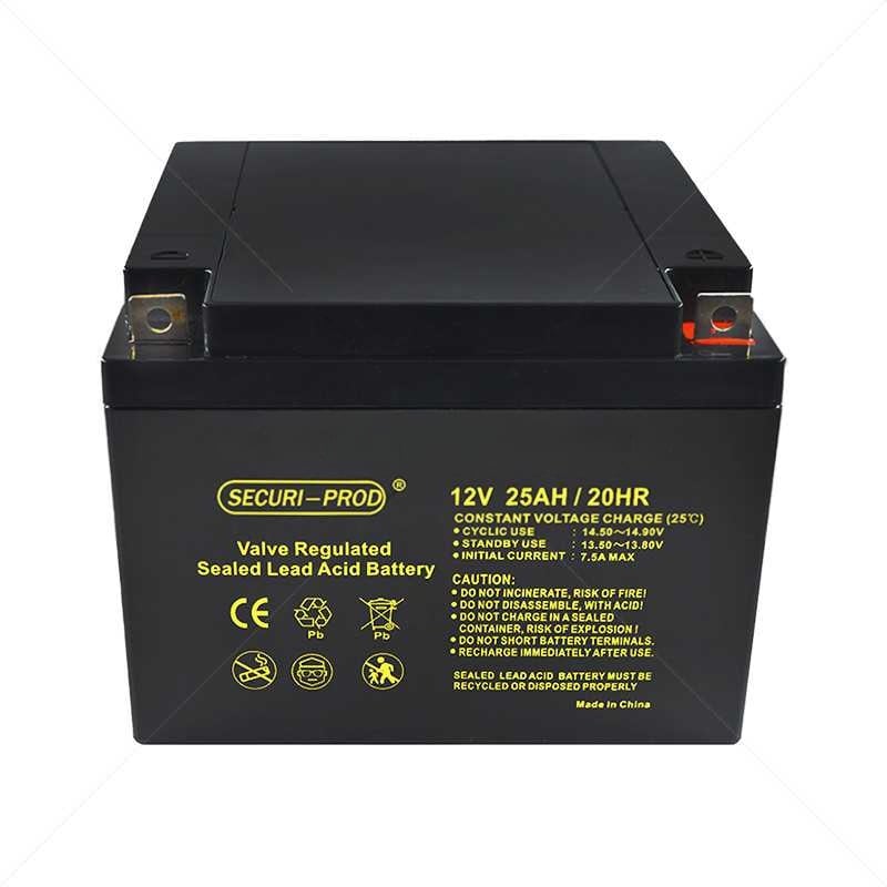 SECURI-PROD SLA BATTERY 12V 25AH - NeonSales {{ shop.shopifyCountryName }}