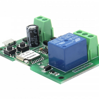 SONOFF EWELINK GATE/GARAGE DOOR CONTROLLER - NeonSales {{ shop.shopifyCountryName }}